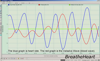 Valsalva Wave And Heart Rate