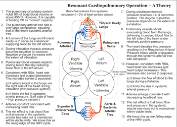 Cardiopulmonary Resonance - A Theory Of Operation