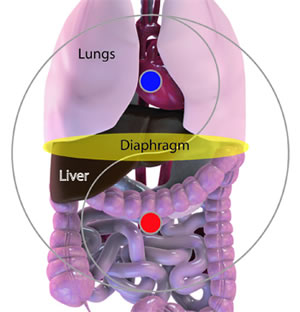 Taiji Diaphragm