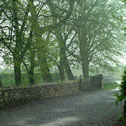 Rainy Day...